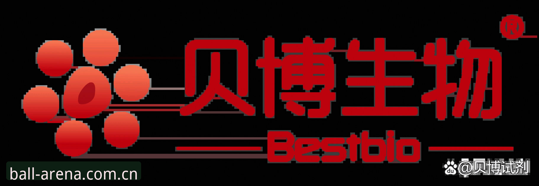 贝博APP怎么样 贝博官网平台深度分析:贝博APP怎么样?从功能体验到使用教程全面解析